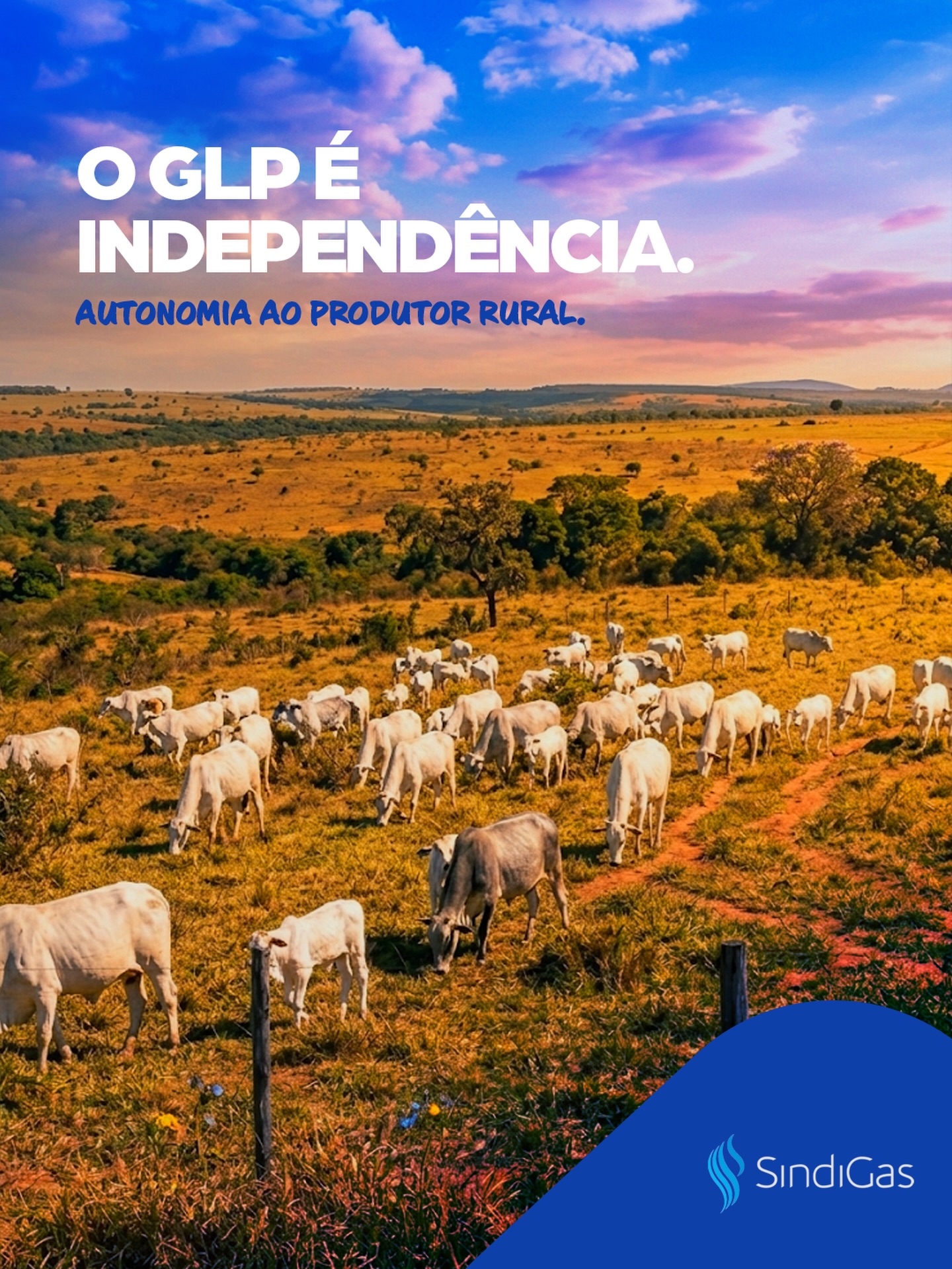 O GLP oferece mais autonomia ao produtor rural.

A energia elétrica é instável e imprevisível em alguns lugares do interior do Brasil. 

Com o GLP, o produtor tem o controle da energia, sabe exatamente a quantidade disponível, pode planejar e investir sem ser surpreendido.

#sindigas #glp #gasdobrasil
